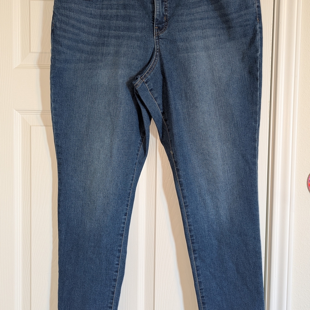 Classic Blue Women's Curvy Skinny Leg Jeans